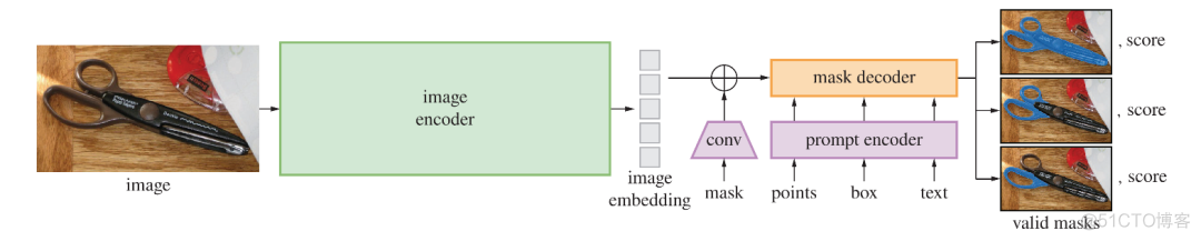 图像分割 pytorch 图像分割大模型_图像分割_03