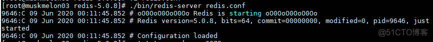 linux redis安装路径 redis安装在linux哪个目录_Redis_05