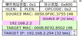 园区网的三层架构 园区网三层架构的名称_硬件地址_20