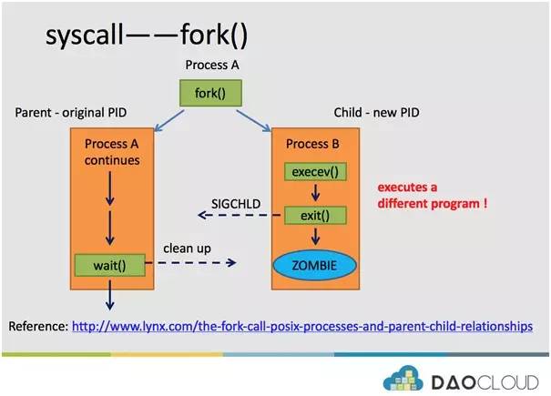 dockerd进程 docker init进程_dockerd进程