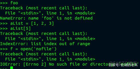 python 英语语法错误检查 python的语法错误_元组_02