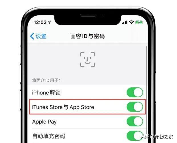 ios 安装app需要输入密码 iphone安装软件需要密码_App_02