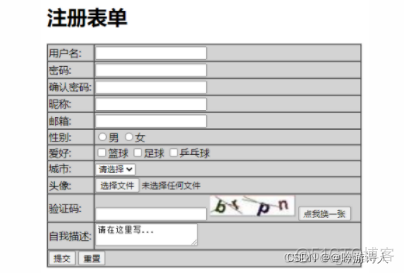 java前端代码 java写前端的语言_java