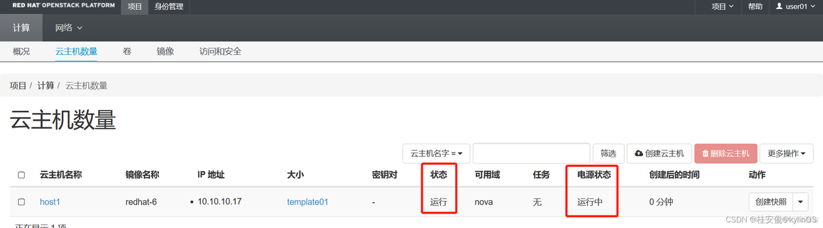 openstack新建云主机的流程 openstack 创建云主机_控制台无法访问_07