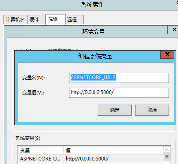 asp.net core 发布文件占用 asp.net core部署_服务器_04