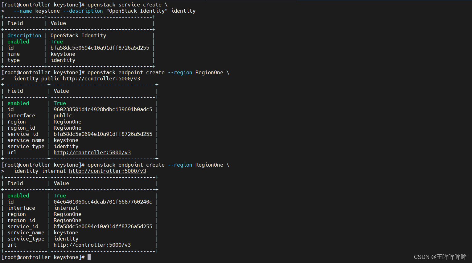 openstack查看所有虚拟机 openstack虚拟机监控_阿里云_15