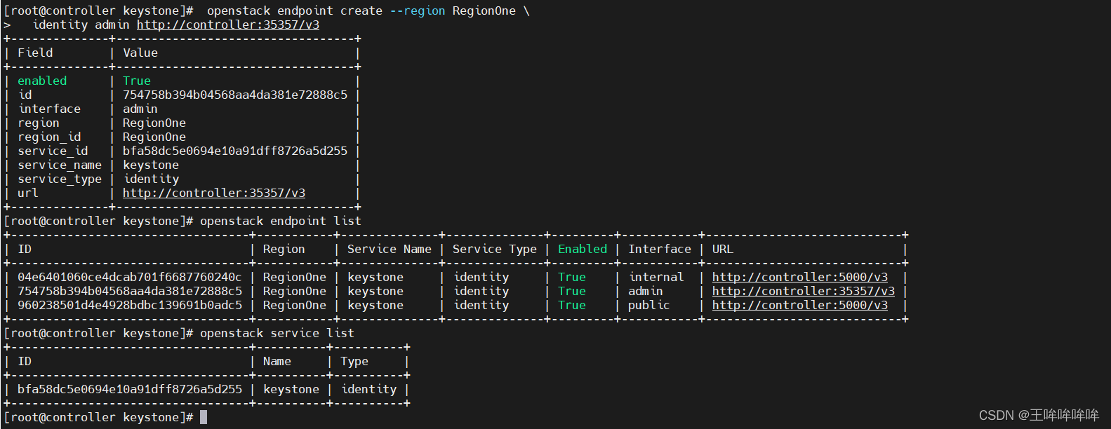 openstack查看所有虚拟机 openstack虚拟机监控_数据库_16