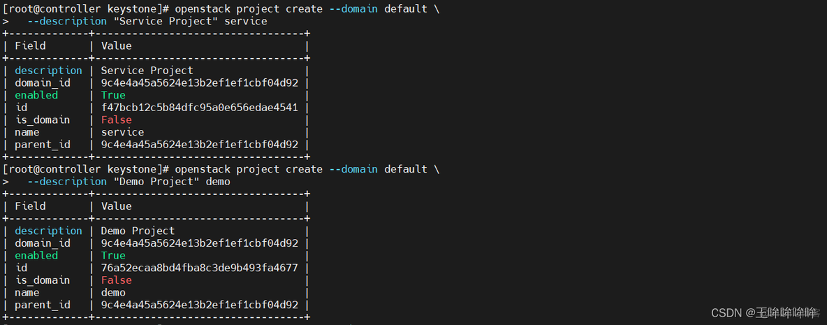 openstack查看所有虚拟机 openstack虚拟机监控_运维_19