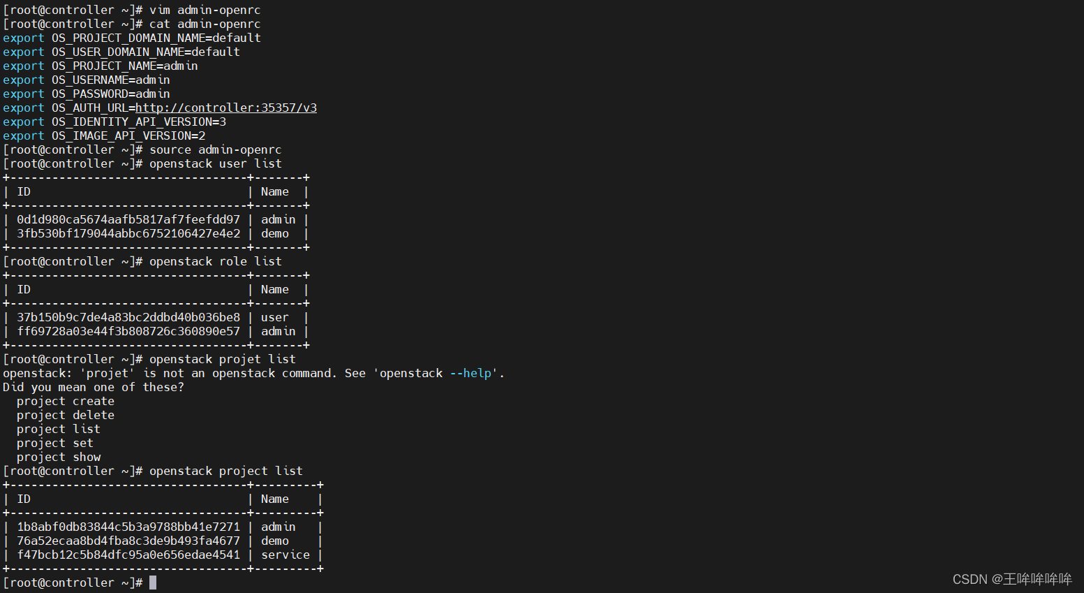 openstack查看所有虚拟机 openstack虚拟机监控_服务器_22