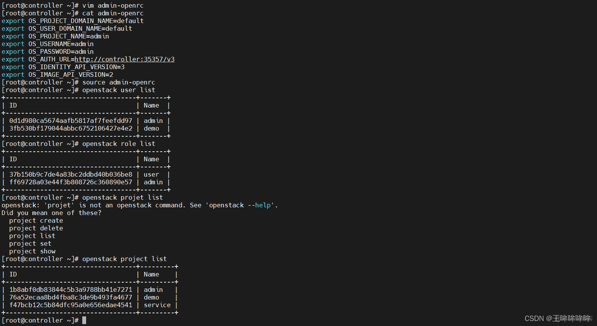 openstack查看所有虚拟机 openstack虚拟机监控_数据库_22