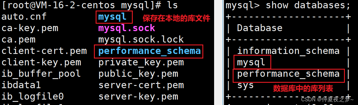 mysql数据库存储类型 mysql数据存储结构是什么_数据库_05