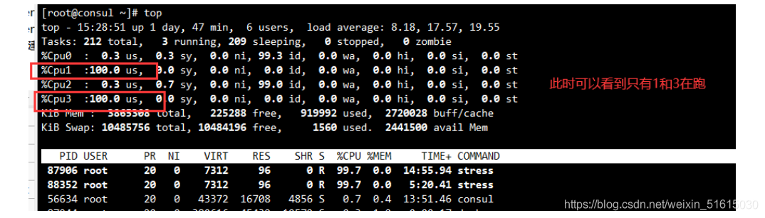 docker 摄像头 docker cgoup_centos_05