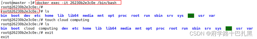 docker创建容器命令 bash docker run创建容器_docker创建容器命令 bash_08