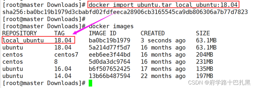 docker创建容器命令 bash docker run创建容器_运维_12