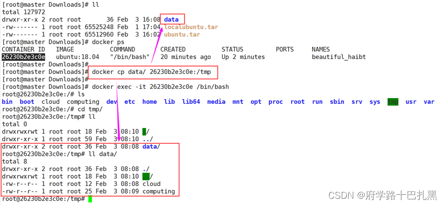 docker创建容器命令 bash docker run创建容器_容器_15