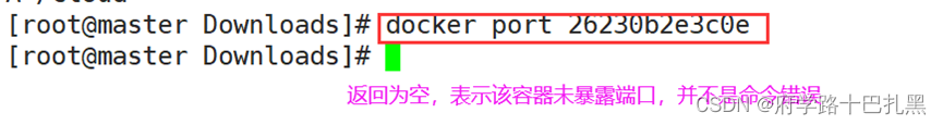 docker创建容器命令 bash docker run创建容器_docker_17