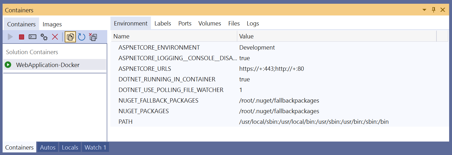 visual studio docker visual studio docker文件_环境变量