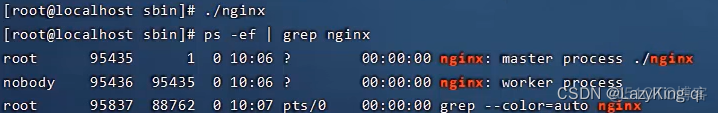 命令启动mysql 命令启动nginx_nginx_03