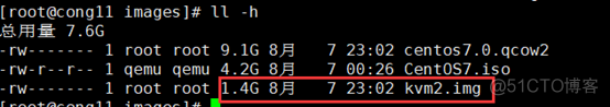 vdi桌面虚拟化 桌面虚拟化系统_kvm_44