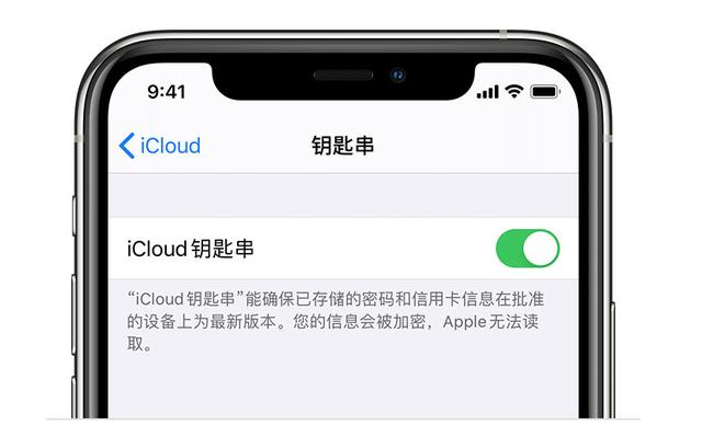 ios15 钥匙串 ios钥匙串怎么开启_自动填充_03