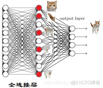 cnn 卷积神经网络 cnn 卷积神经网络介绍_卷积_14