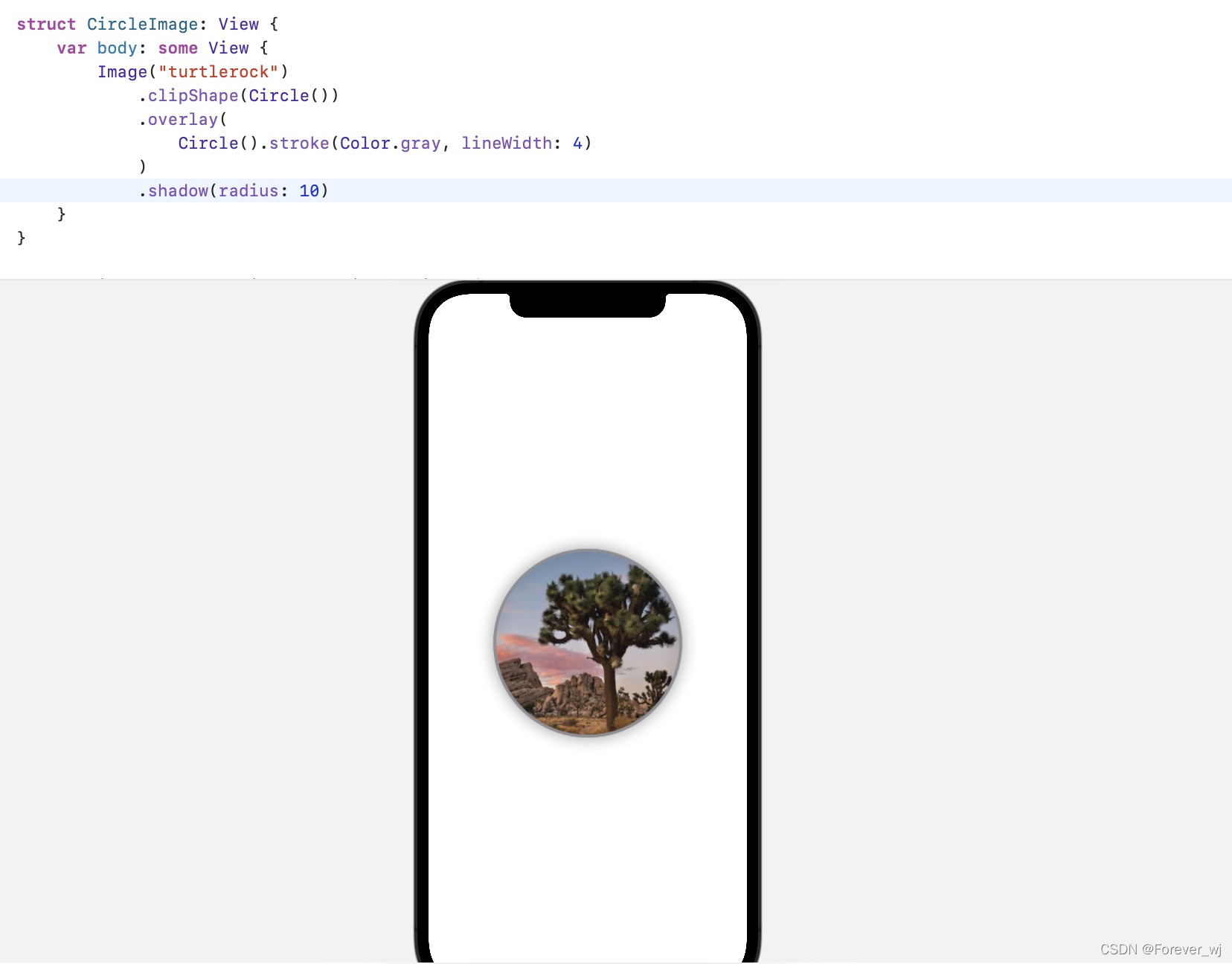 swiftui组件库 swiftui布局教程_定制文本视图Text View_28