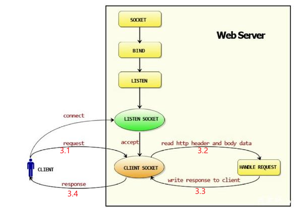 go语言用什么服务器 go语言写web服务器_go语言_04