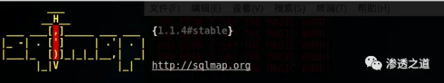 安卓 安装docker 安卓 安装linux_Kali_39