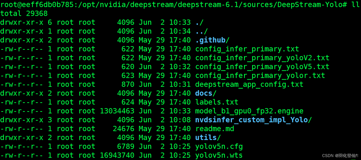 deepstream docker deepstream docker yolo_deepstream_05