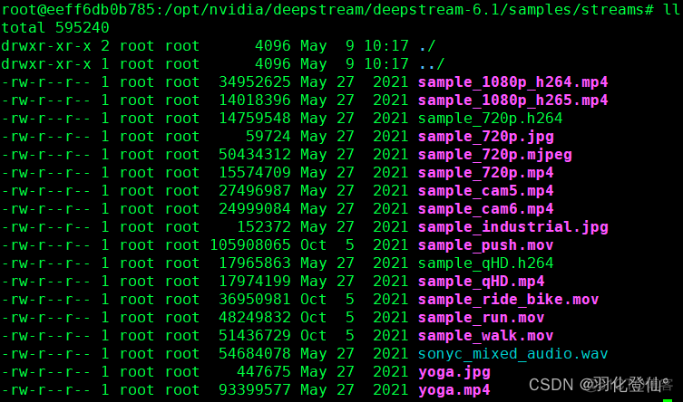 deepstream docker deepstream docker yolo_deepstream docker_10