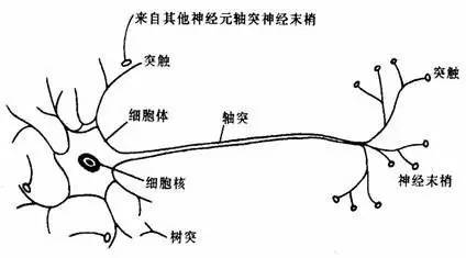 卷积神经网络算法应用 卷积神经网络算法设计_编程_09