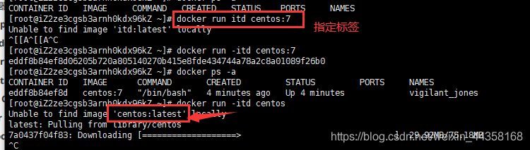 docker run和docker start docker run和docker start的区别_docker_02