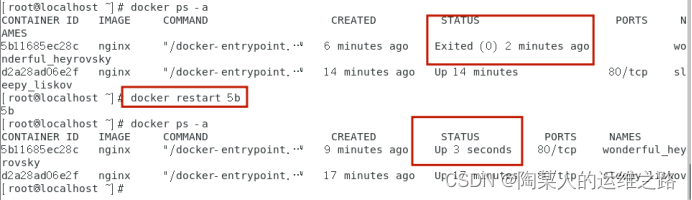 metersphere docker引擎 docker引擎有哪些构成_docker_05