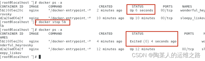 metersphere docker引擎 docker引擎有哪些构成_docker_06