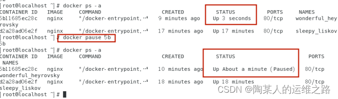 metersphere docker引擎 docker引擎有哪些构成_运维_07