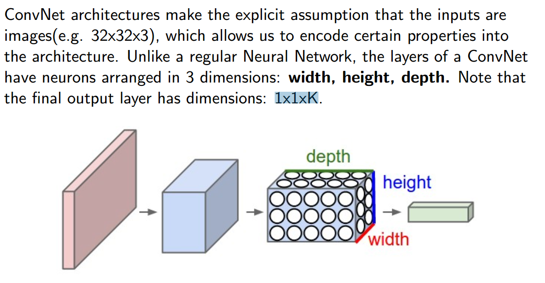 卷积神经网络pytorch 卷积神经网络结构_卷积