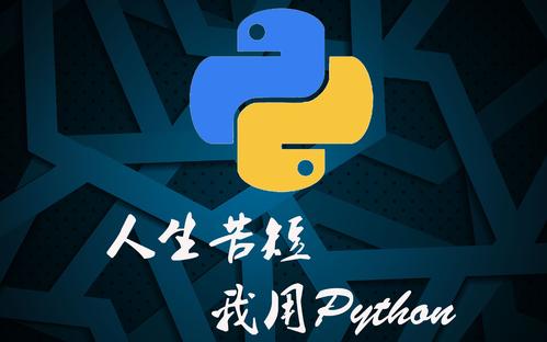 python支持char数据类型吗 python支持什么数据类型_python支持char数据类型吗