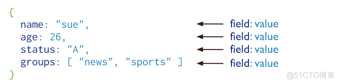 mongodb存储json字串 mongodb json格式_字段