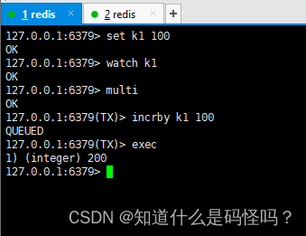 redis事务机制无法支持 redis的事务机制_数据库_05