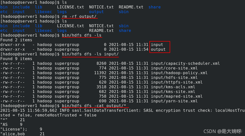 hadoop的组件及功能 hadoop平台及组件的部署管理_Hadoop_39