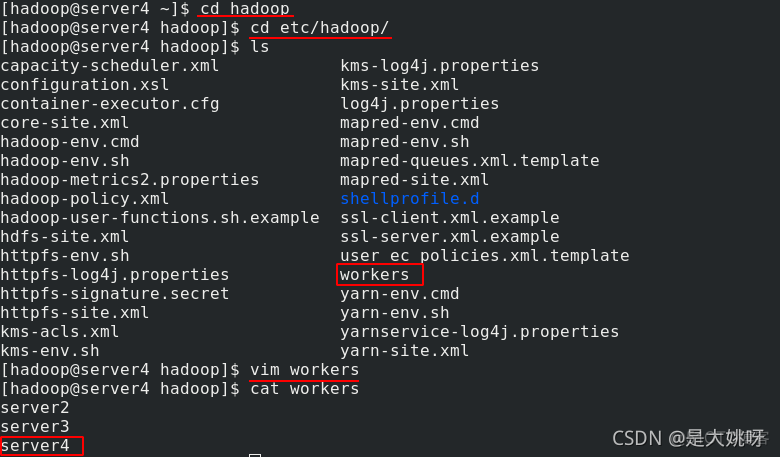 hadoop的组件及功能 hadoop平台及组件的部署管理_hadoop_71