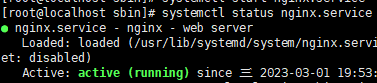 Nginx 安装与部署_IPV6_04