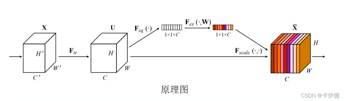 SENet代码 senet模块_权重