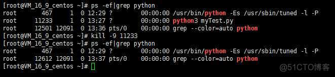 python 部署服务 python程序部署服务器_Python