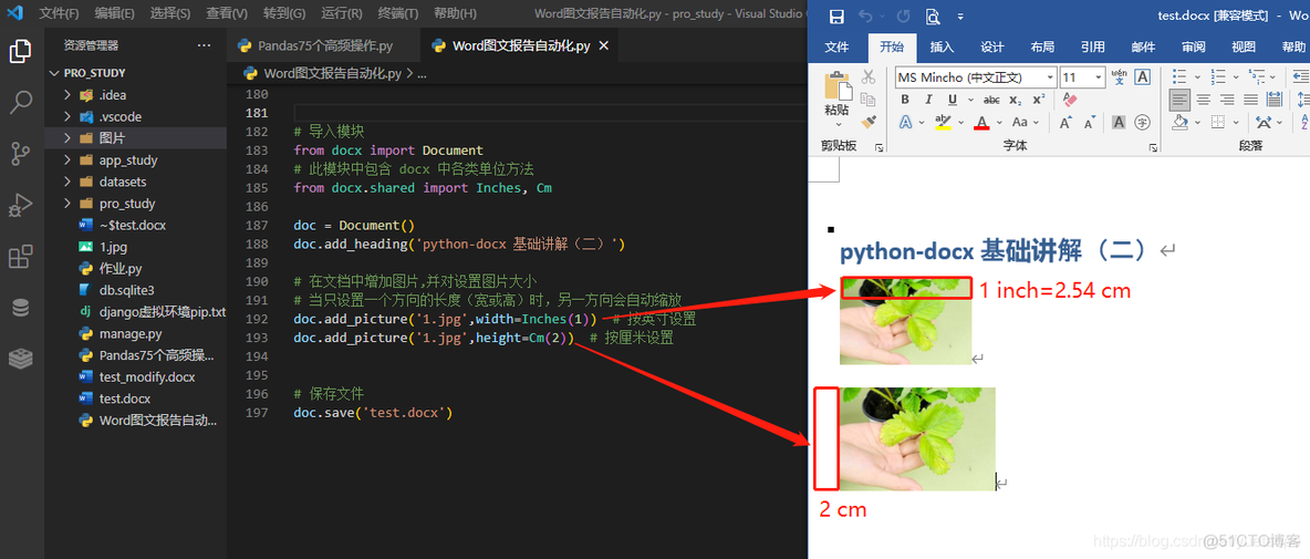 python 自定义报告 python自动生成word报告_python_16