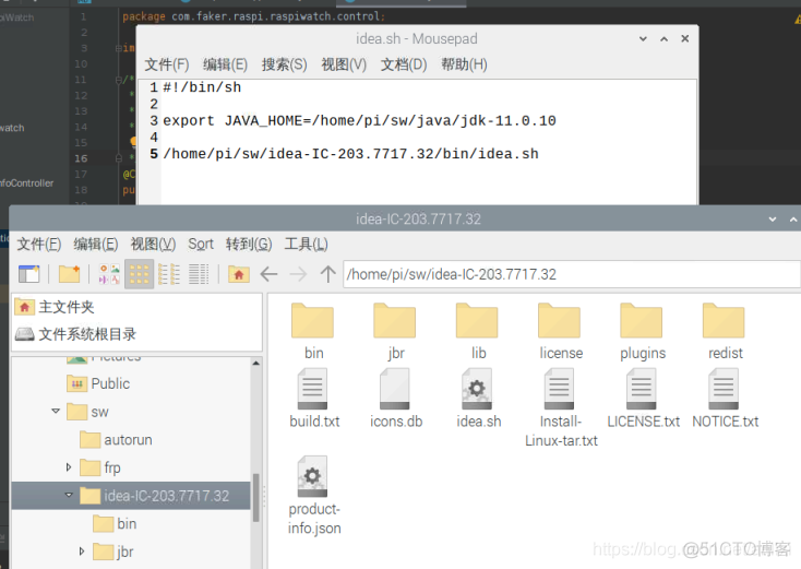 树莓派 运行 redis 树莓派 运行idea_linux_03