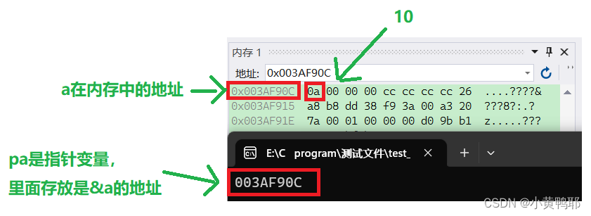 C语言 — 指针基础篇（1）_野指针