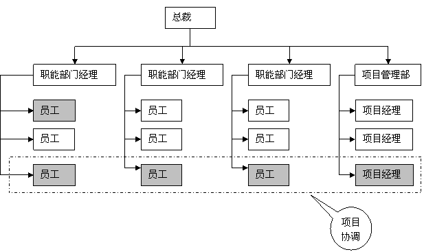 直线式组织结构类型图片