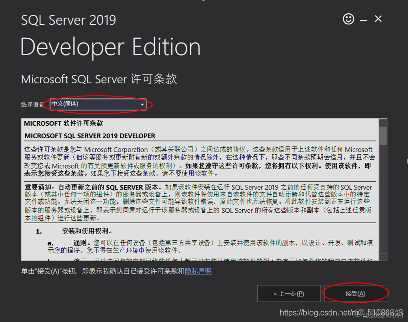 sql server2022下载 下载sql server2019_java_05