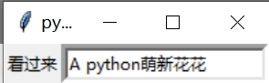 python tkinter项目 python的tkinter_python tkinter项目_04